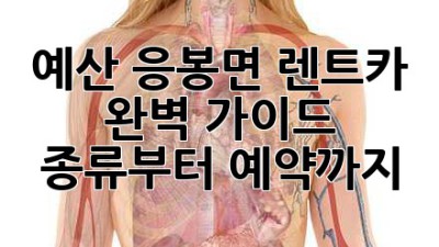 예산 응봉면 렌트카 완벽 가이드 🚗💨 종류부터 예약까지!