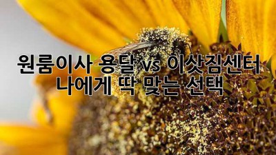 원룸이사, 용달 vs 이삿짐센터? 🤔 나에게 딱 맞는 선택!